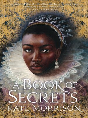 cover image of A Book of Secrets